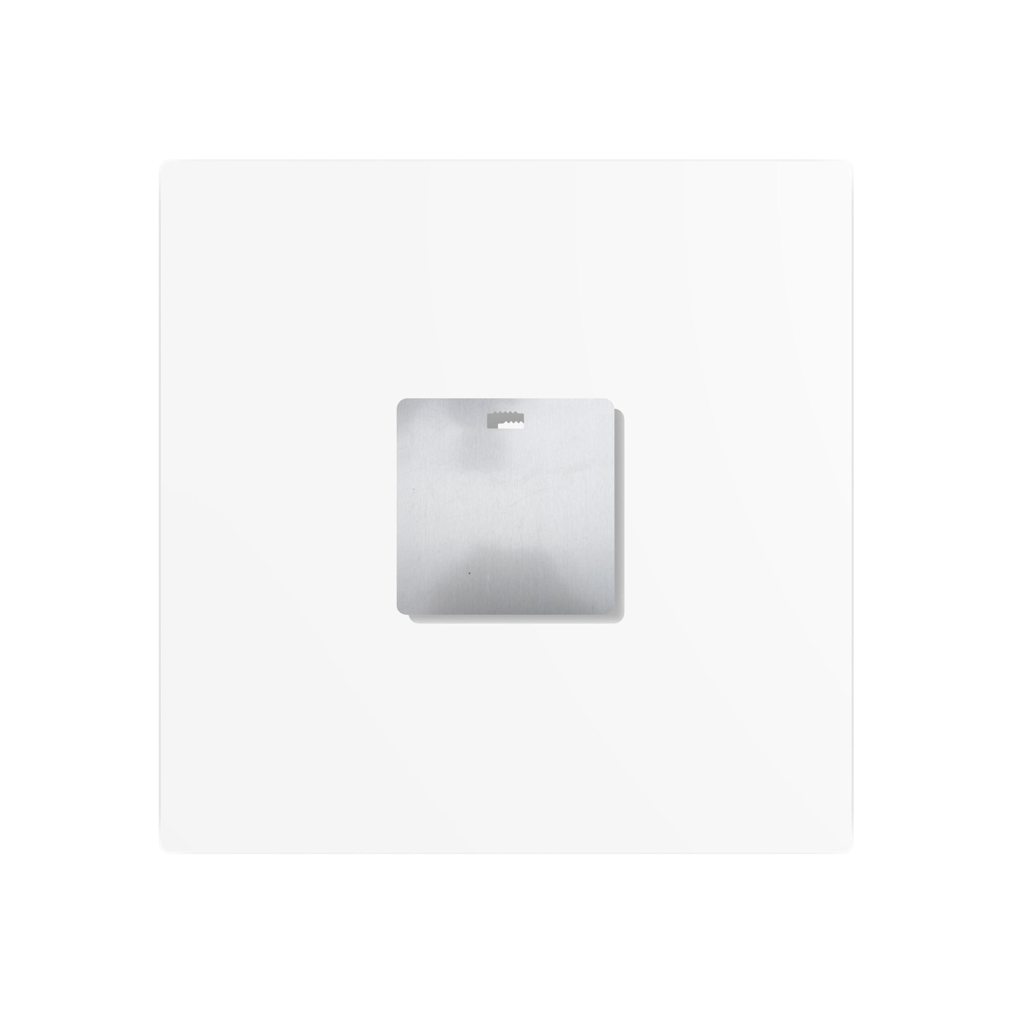 Only Dingbatters buy Imported - Metal Wall Art
